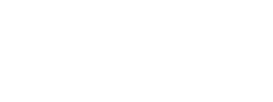 The Carve Logo